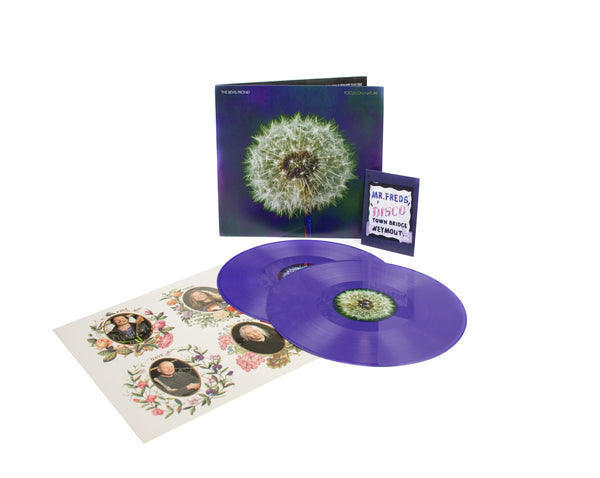 The Bevis Frond - 'Focus On Nature'