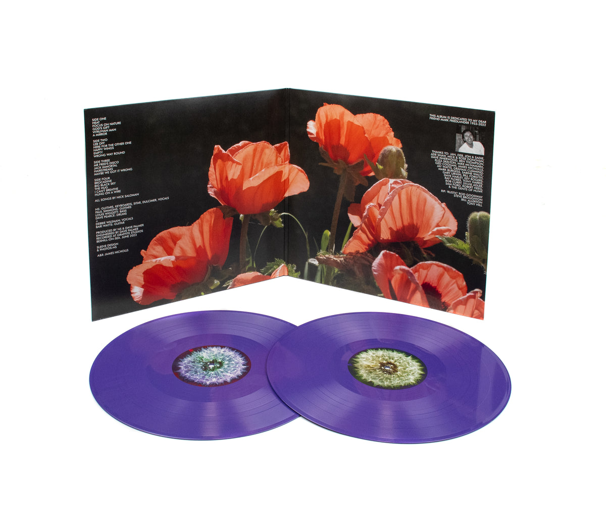 英2LP Bevis Frond Were Your Friends, Man FIRELP540 Fire Records /00520 The Bevis Frond – We're Your Friends, Man – FIRE RECORDS