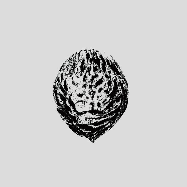 Black Lips - 'Bebop Armageddon (Detours & Offcuts From Season Of The Peach)'