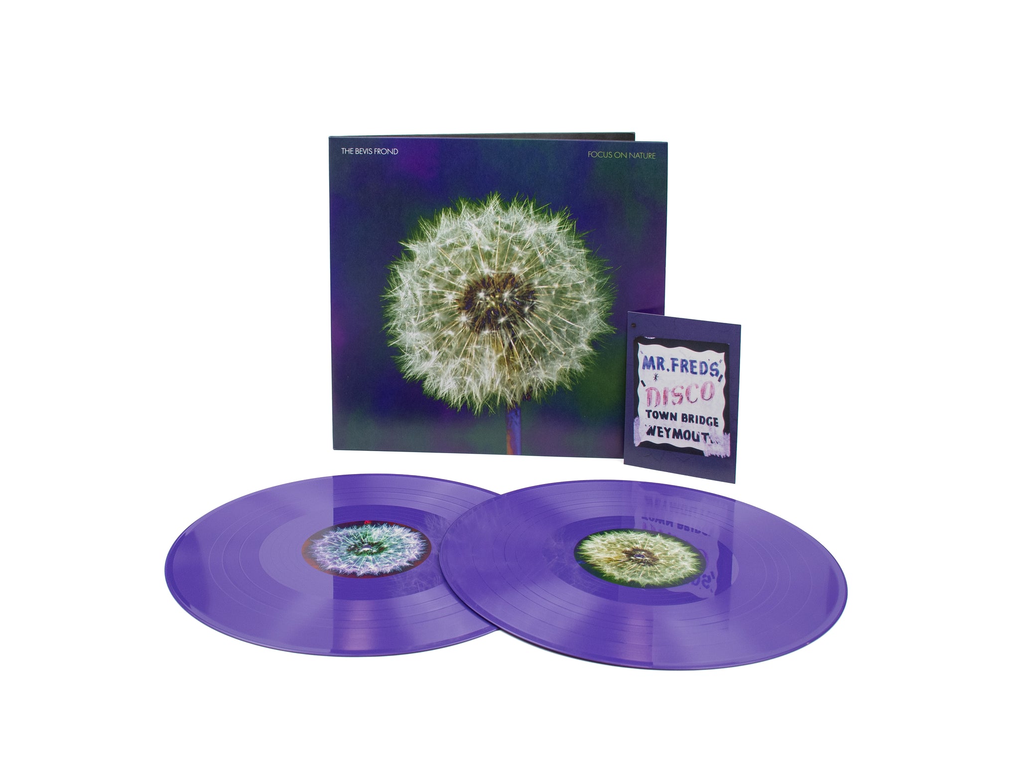The Bevis Frond - 'Focus On Nature' – Fire Records
