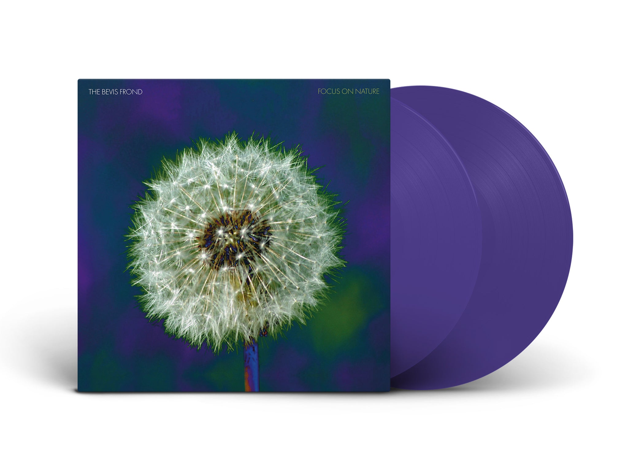 The Bevis Frond - 'Focus On Nature' – Fire Records