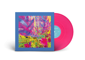 The Reds, Pinks and Purples – 'The Past is a Garden I Never Fed'