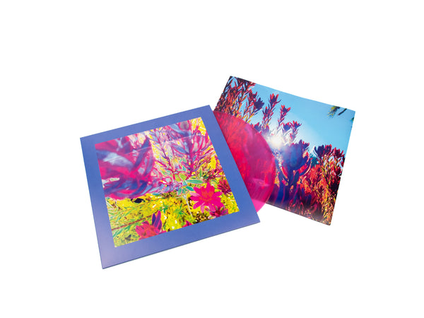 The Reds, Pinks and Purples – 'The Past is a Garden I Never Fed'