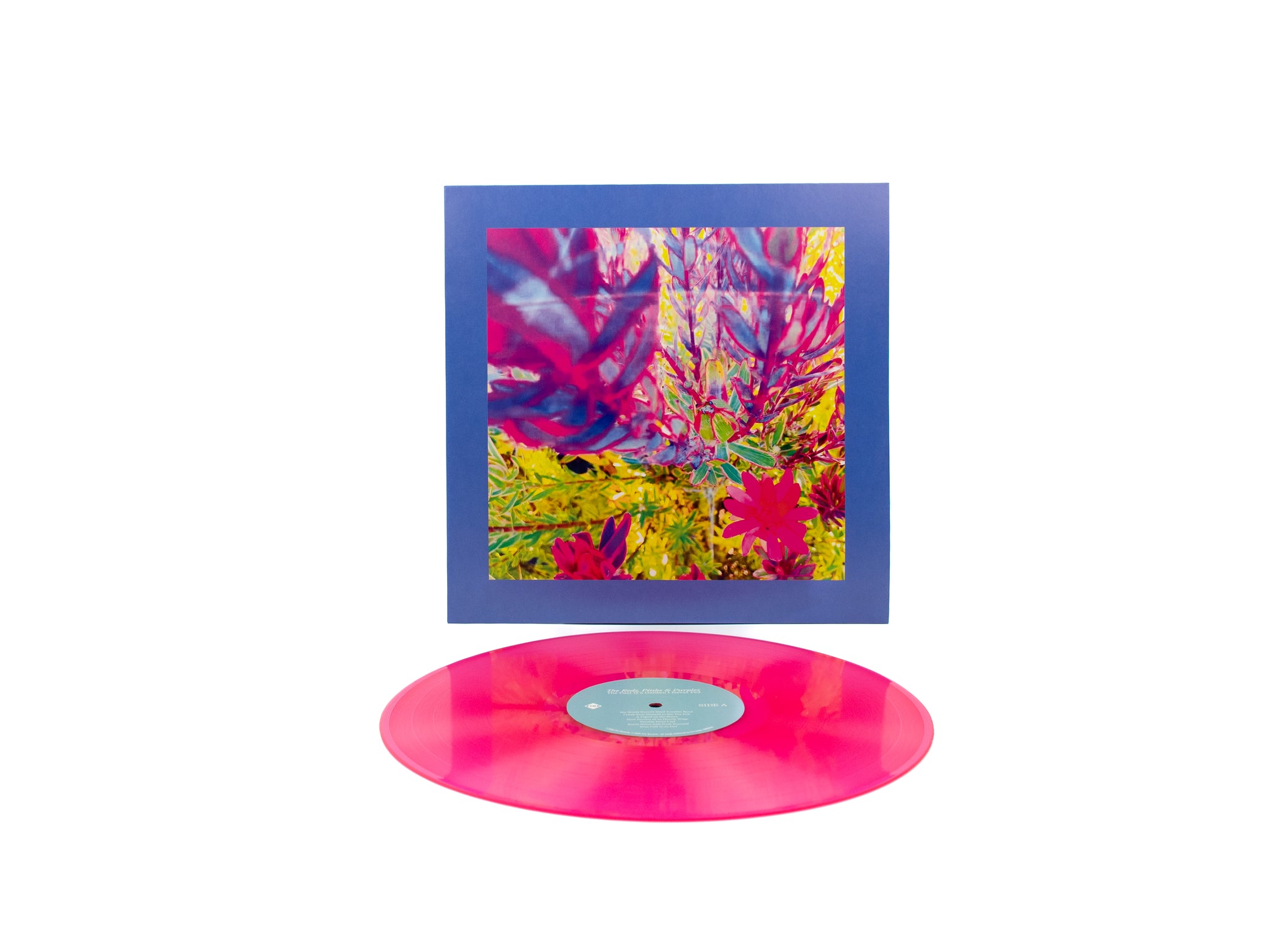 The Reds, Pinks and Purples – 'The Past is a Garden I Never Fed'