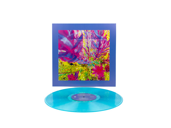 The Reds, Pinks and Purples – 'The Past is a Garden I Never Fed'