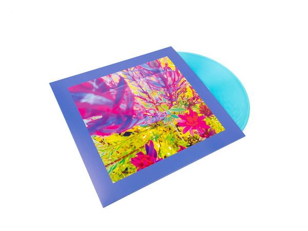 The Reds, Pinks and Purples – 'The Past is a Garden I Never Fed'