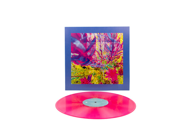 The Reds, Pinks and Purples – 'The Past is a Garden I Never Fed'