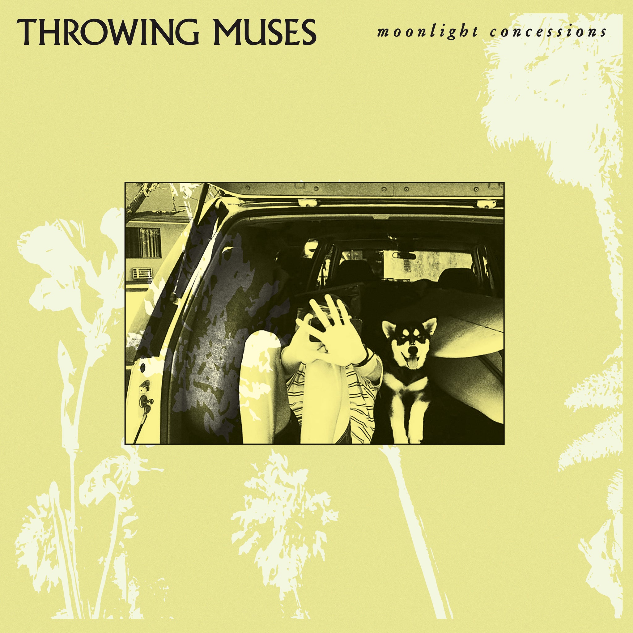 Throwing Muses - 'Moonlight Concessions'