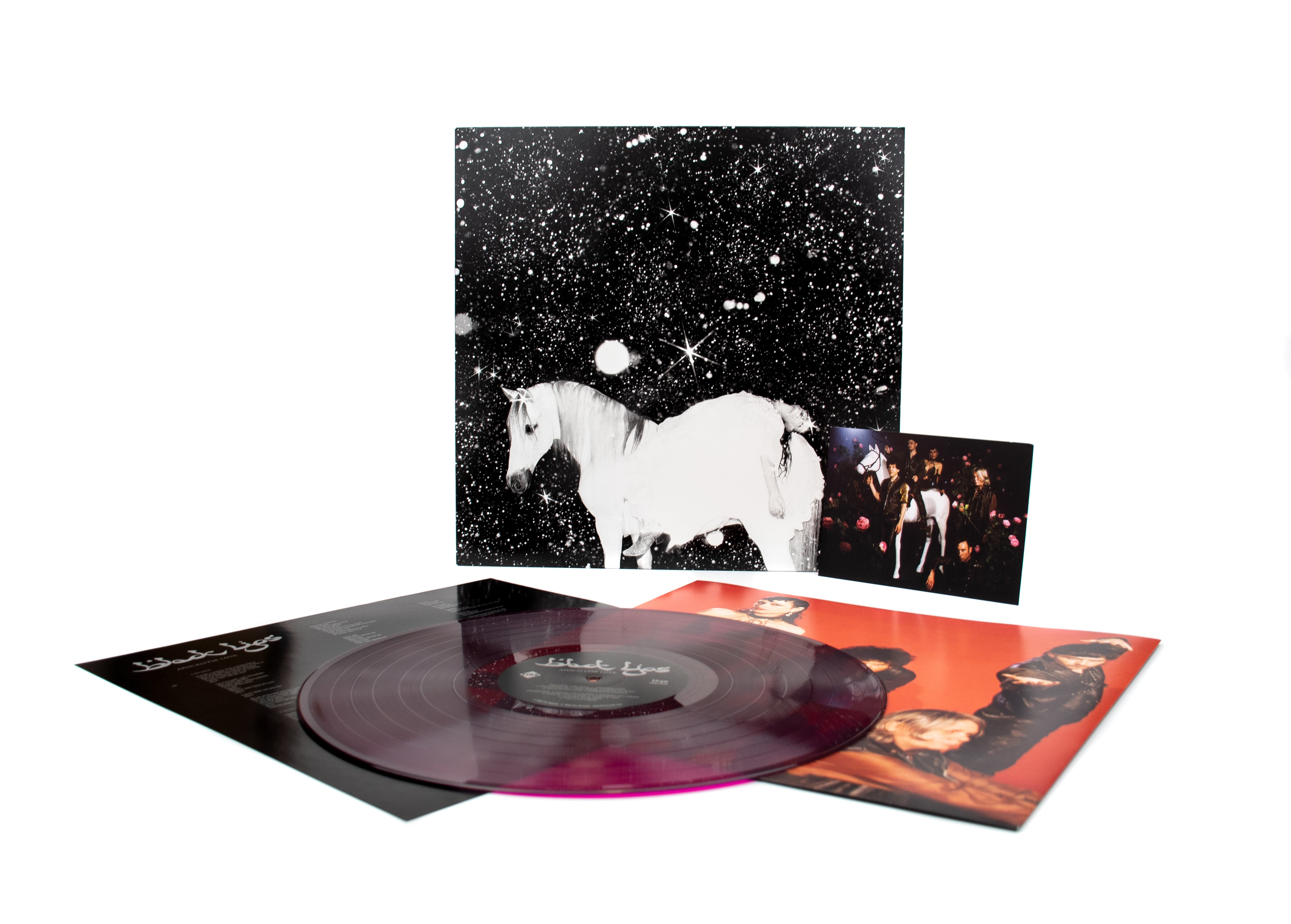 公式限定 福袋 - 公式通販オンラインショップ Black Lips - 'Apocalypse Love' – Fire Records その他